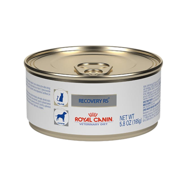 Royal Canin Recovery