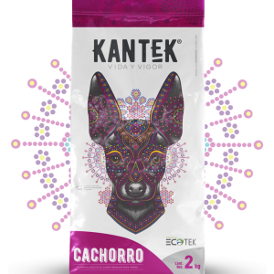 kantek cachorro