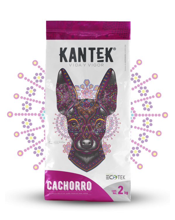 kantek cachorro