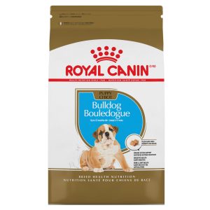 Royal Canin Bulldog puppy