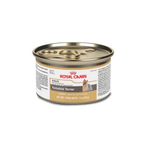 Royal Canin Yorkshire lata