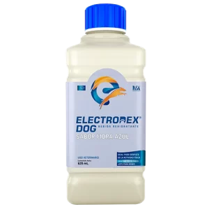 Electrodex dog